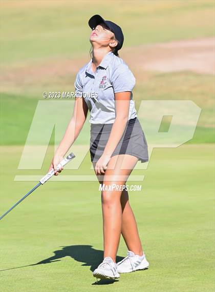 Thumbnail 3 in AIA DI Girls State Championships  photogallery.
