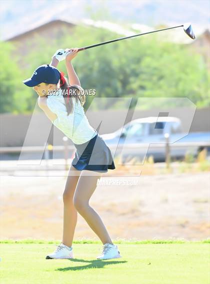 Thumbnail 1 in AIA DI Girls State Championships  photogallery.