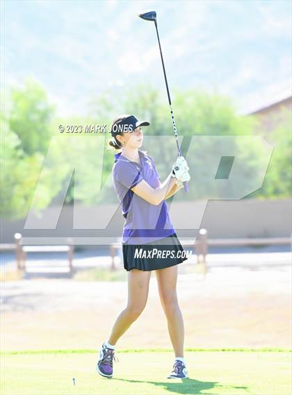 Thumbnail 2 in AIA DI Girls State Championships  photogallery.
