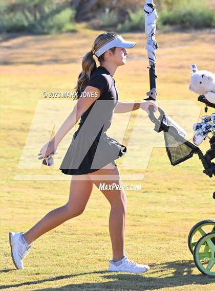 Thumbnail 3 in AIA DI Girls State Championships  photogallery.