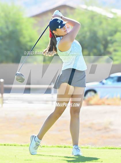Thumbnail 3 in AIA DI Girls State Championships  photogallery.