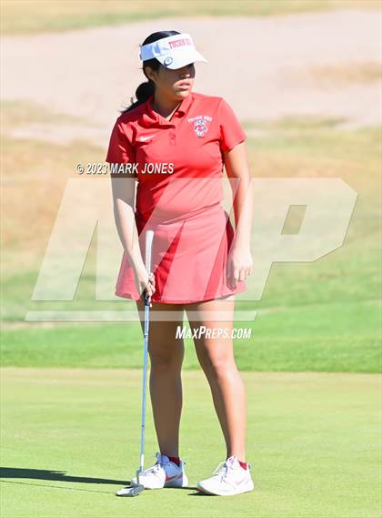 Thumbnail 1 in AIA DI Girls State Championships  photogallery.