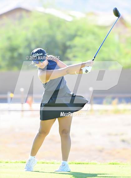 Thumbnail 1 in AIA DI Girls State Championships  photogallery.