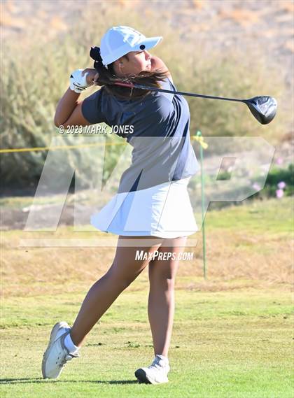 Thumbnail 3 in AIA DI Girls State Championships  photogallery.