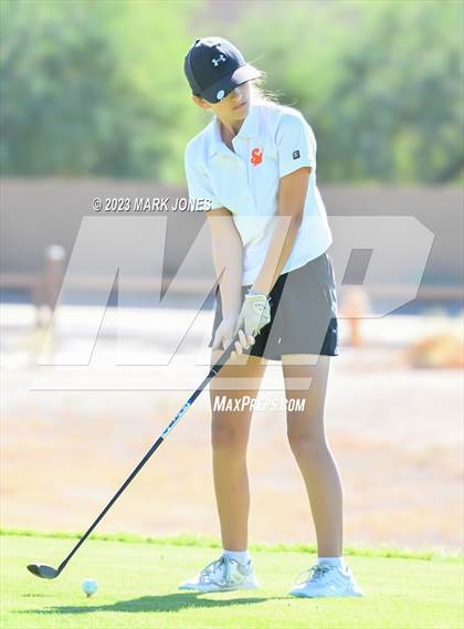 Thumbnail 1 in AIA DI Girls State Championships  photogallery.