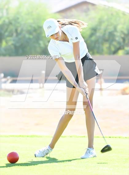 Thumbnail 3 in AIA DI Girls State Championships  photogallery.