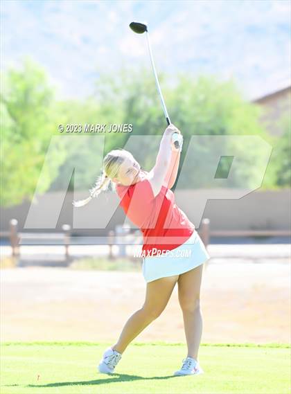 Thumbnail 3 in AIA DI Girls State Championships  photogallery.