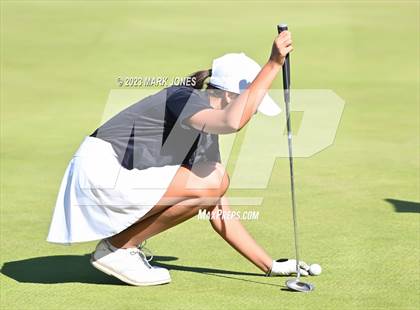 Thumbnail 3 in AIA DI Girls State Championships  photogallery.