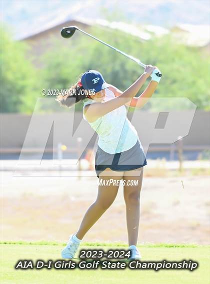 Thumbnail 3 in AIA DI Girls State Championships  photogallery.
