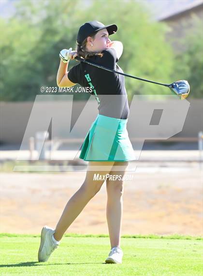 Thumbnail 1 in AIA DI Girls State Championships  photogallery.