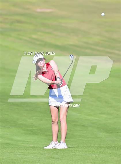 Thumbnail 2 in AIA DI Girls State Championships  photogallery.