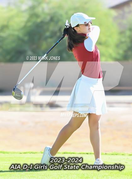 Thumbnail 3 in AIA DI Girls State Championships  photogallery.