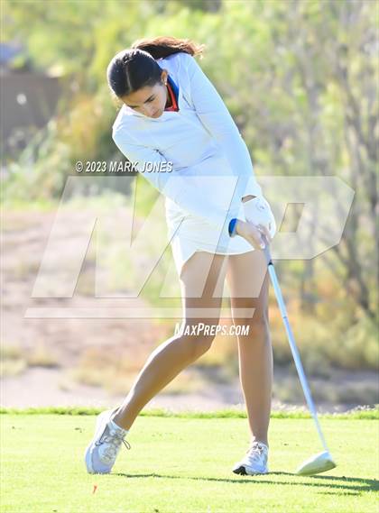 Thumbnail 1 in AIA DI Girls State Championships  photogallery.