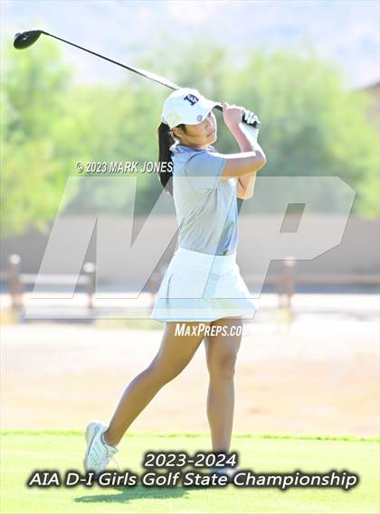 Thumbnail 1 in AIA DI Girls State Championships  photogallery.