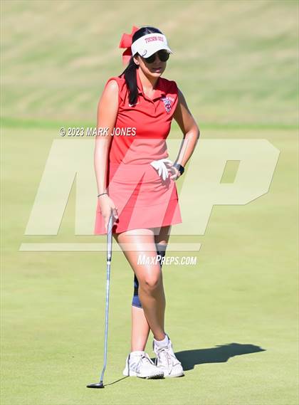 Thumbnail 1 in AIA DI Girls State Championships  photogallery.