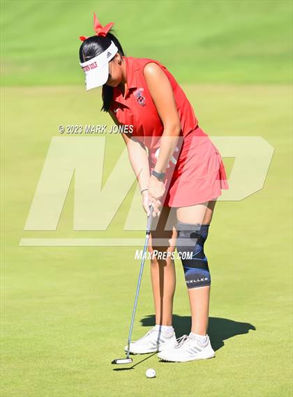 Thumbnail 3 in AIA DI Girls State Championships  photogallery.