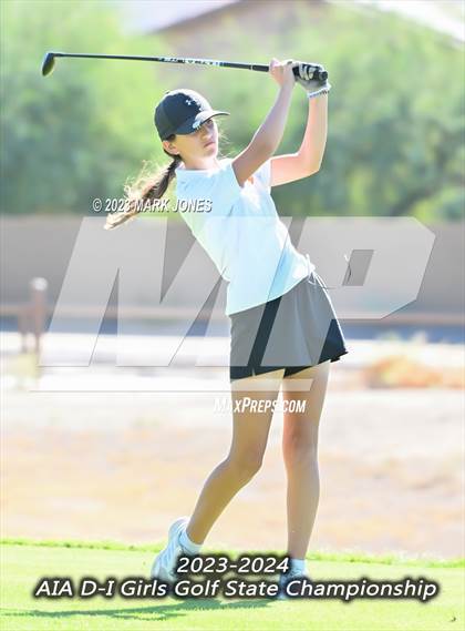 Thumbnail 3 in AIA DI Girls State Championships  photogallery.