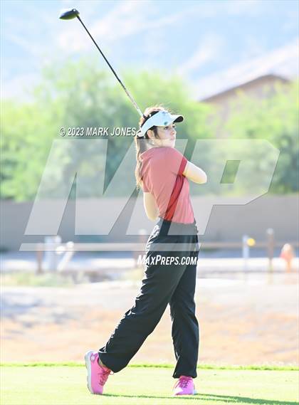Thumbnail 3 in AIA DI Girls State Championships  photogallery.