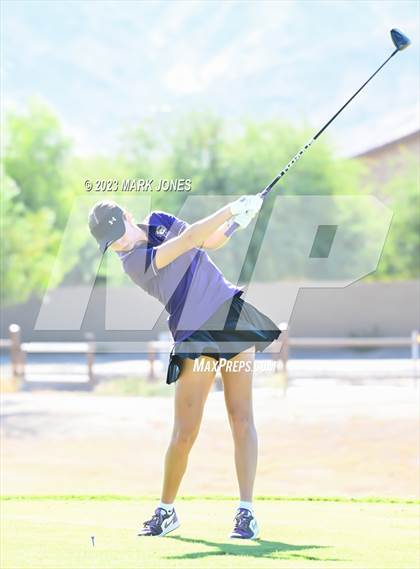 Thumbnail 1 in AIA DI Girls State Championships  photogallery.