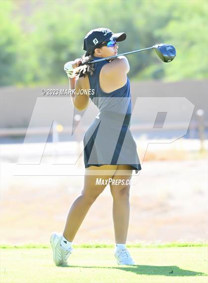 Thumbnail 2 in AIA DI Girls State Championships  photogallery.