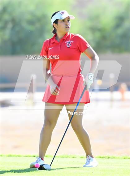 Thumbnail 1 in AIA DI Girls State Championships  photogallery.