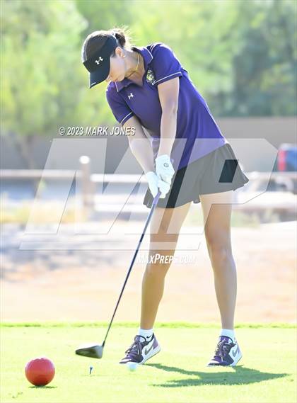 Thumbnail 2 in AIA DI Girls State Championships  photogallery.
