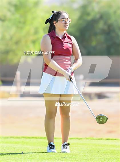 Thumbnail 2 in AIA DI Girls State Championships  photogallery.