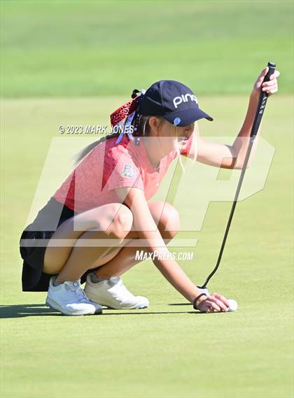 Thumbnail 3 in AIA DI Girls State Championships  photogallery.