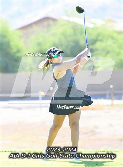 Thumbnail 1 in AIA DI Girls State Championships  photogallery.