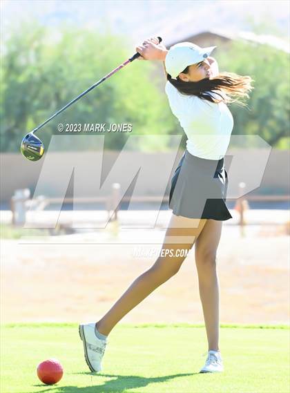 Thumbnail 2 in AIA DI Girls State Championships  photogallery.