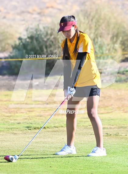 Thumbnail 1 in AIA DI Girls State Championships  photogallery.