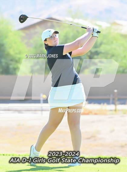 Thumbnail 1 in AIA DI Girls State Championships  photogallery.
