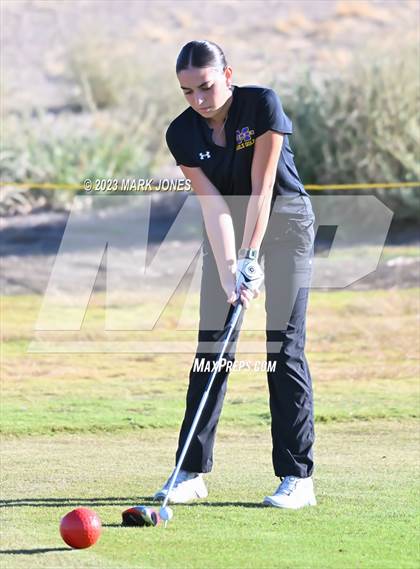 Thumbnail 1 in AIA DI Girls State Championships  photogallery.
