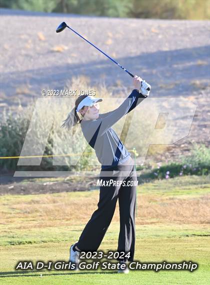 Thumbnail 1 in AIA DI Girls State Championships  photogallery.