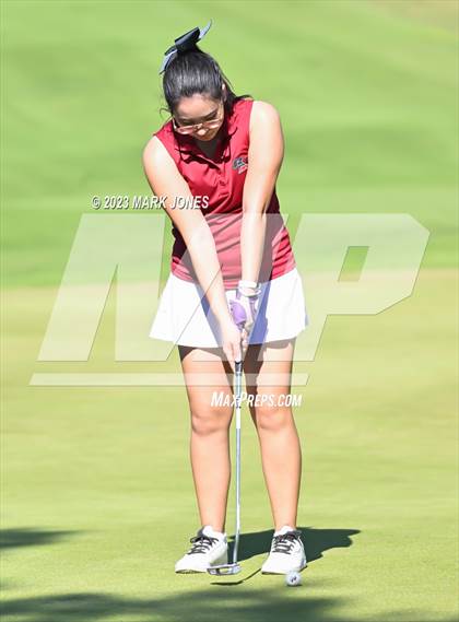Thumbnail 1 in AIA DI Girls State Championships  photogallery.