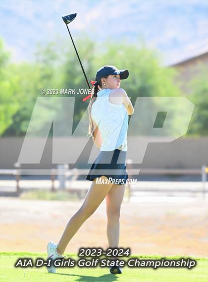 Thumbnail 2 in AIA DI Girls State Championships  photogallery.
