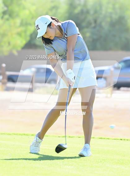 Thumbnail 3 in AIA DI Girls State Championships  photogallery.