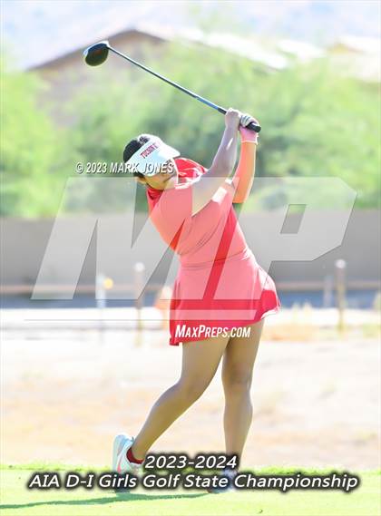 Thumbnail 2 in AIA DI Girls State Championships  photogallery.