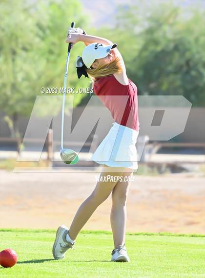 Thumbnail 2 in AIA DI Girls State Championships  photogallery.