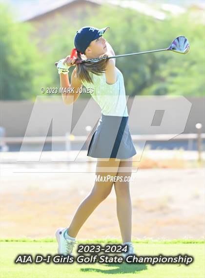 Thumbnail 1 in AIA DI Girls State Championships  photogallery.