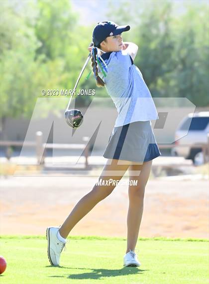 Thumbnail 1 in AIA DI Girls State Championships  photogallery.