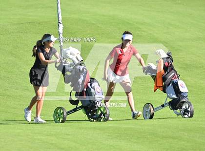 Thumbnail 3 in AIA DI Girls State Championships  photogallery.