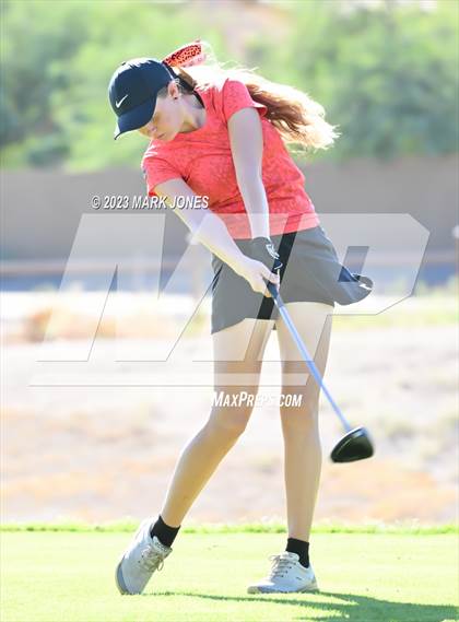 Thumbnail 2 in AIA DI Girls State Championships  photogallery.