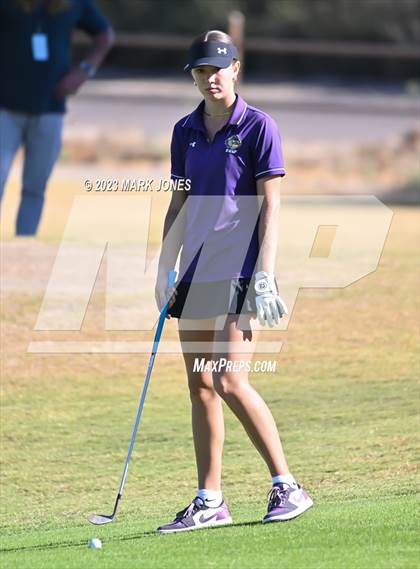 Thumbnail 1 in AIA DI Girls State Championships  photogallery.