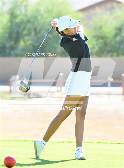 Thumbnail 3 in AIA DI Girls State Championships  photogallery.