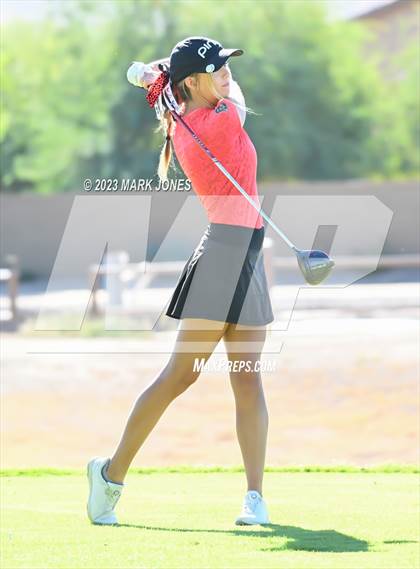 Thumbnail 3 in AIA DI Girls State Championships  photogallery.