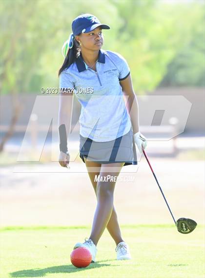 Thumbnail 3 in AIA DI Girls State Championships  photogallery.