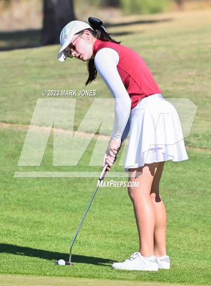 Thumbnail 2 in AIA DI Girls State Championships  photogallery.