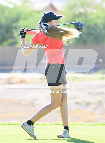 Thumbnail 3 in AIA DI Girls State Championships  photogallery.