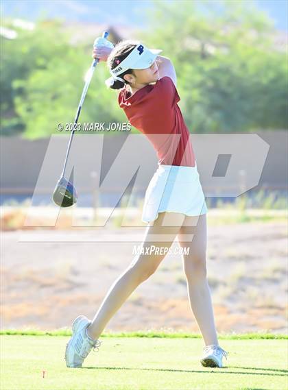 Thumbnail 3 in AIA DI Girls State Championships  photogallery.